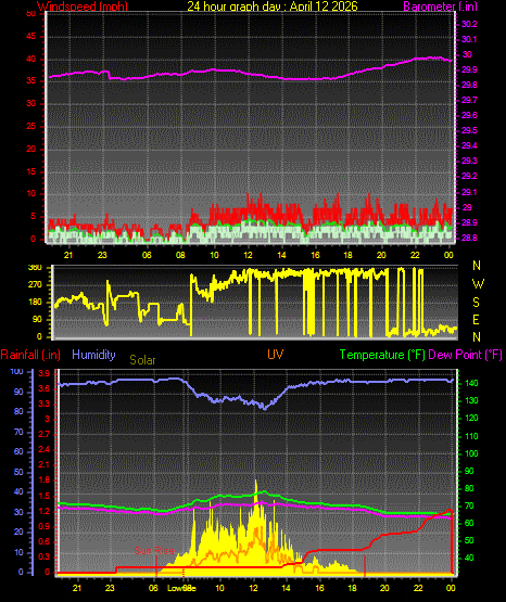 24 Hour Graph for Day 12