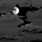Monday Night: Mostly cloudy, with a low around 67. East northeast wind around 15 mph, with gusts as high as 21 mph. Monday Night: Mostly Cloudy