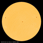 SDO/HMI Continuum Image of the Sun