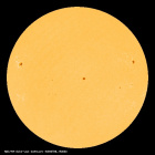 SDO/HMI Continuum Image of the Sun